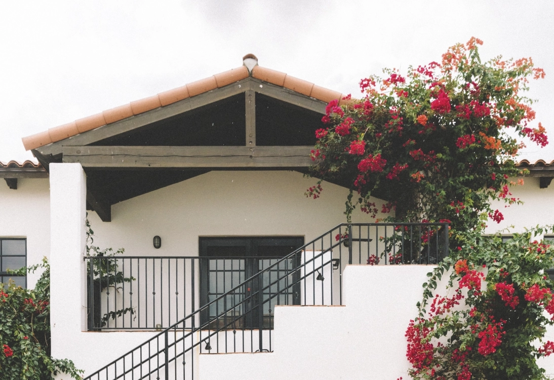 Nic Roldan: Polo Star's Journey from Palm Beach to Miami