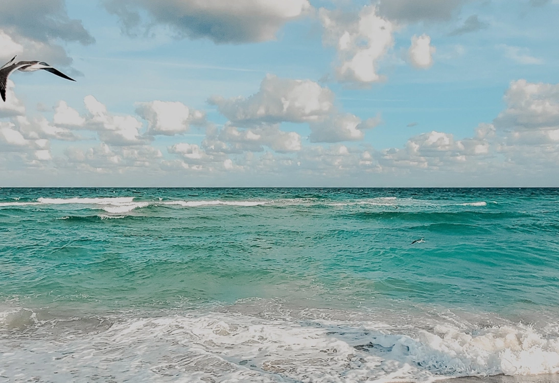 With nature’s playground in our backyard, we have rounded up some of the best secret and low-key beach spots in Miami.