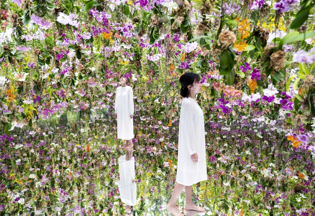 Discover Unique Art \u0026 Dining Experiences in Tokyo Today, image size:1094x750