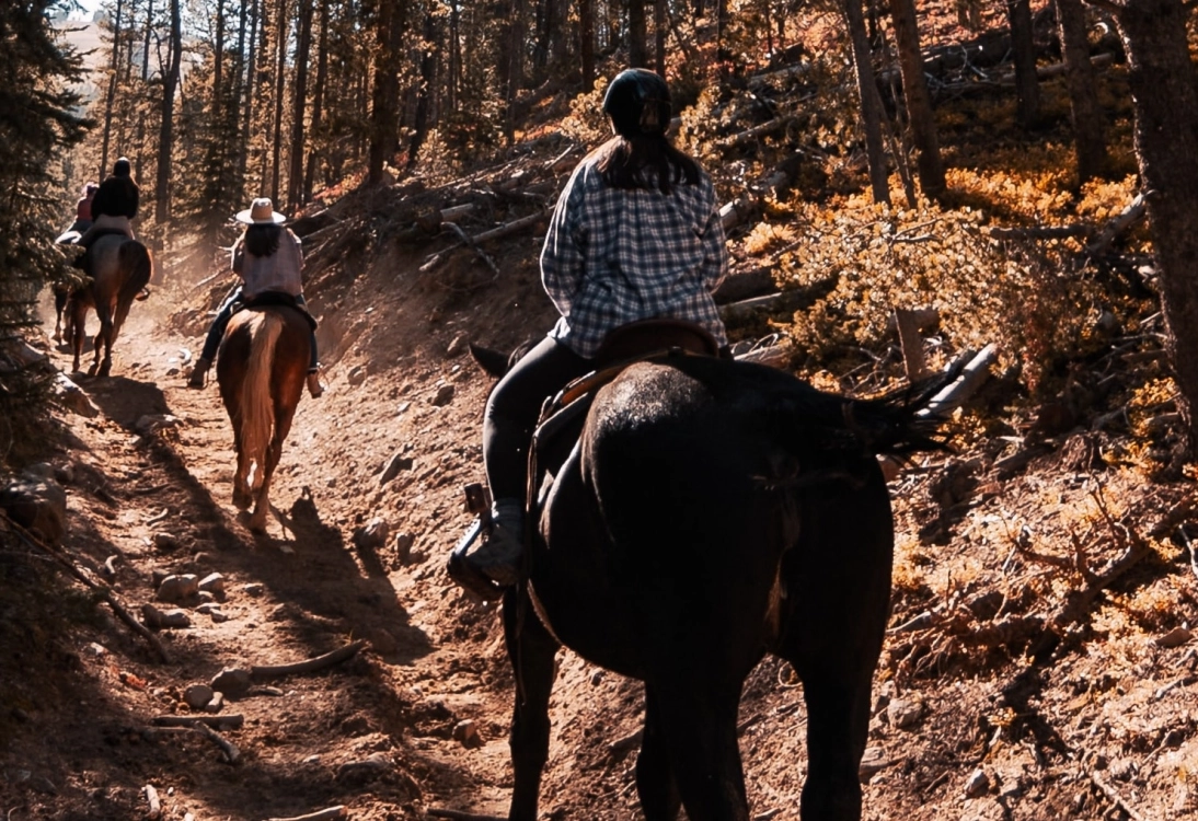 Here are the best and friendliest places around Napa to go horseback riding, either with lessons or for a leisurely package including wine tastings.