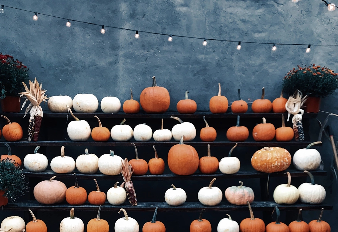 Let's face it, winter is on its way, but before the Roaring Fork Valley is blanketed in white, here are 15 ways to make the most of your fall in Aspen.