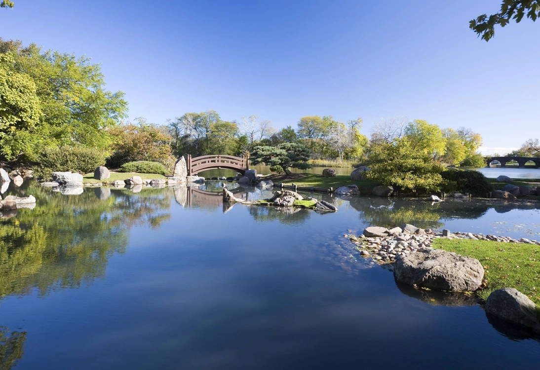 Here's everything you need to know about Hyde Park in Chicago.