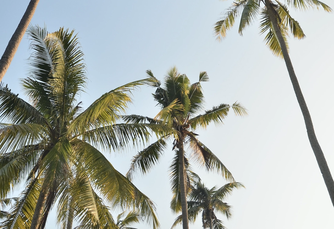 Here's everything you need to know about Delray Beach in Palm Beach .