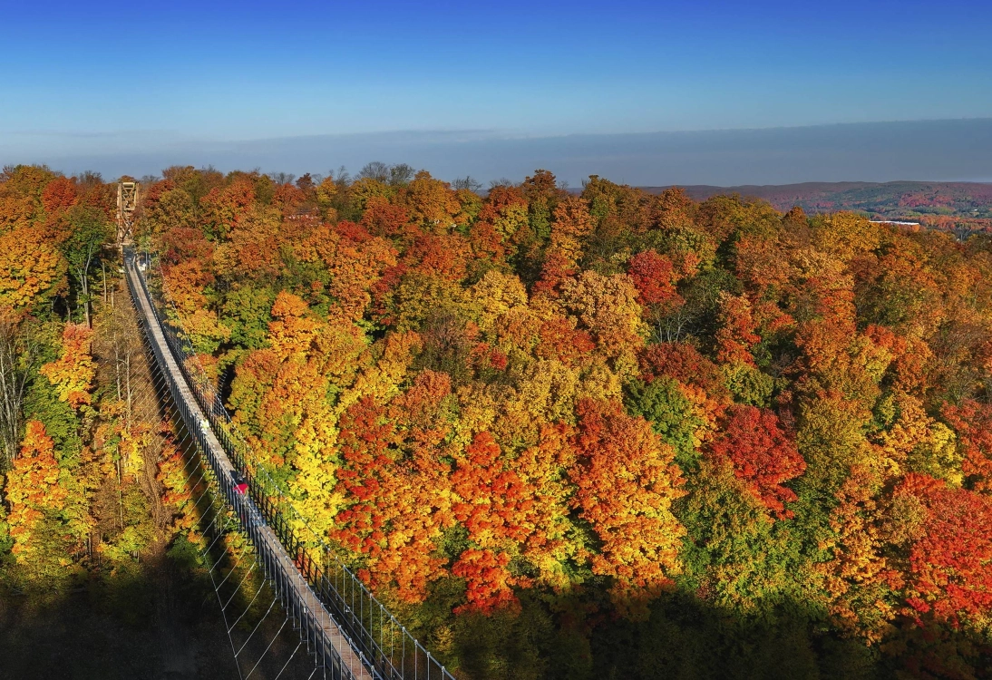 Top 5 Spots for Stunning Fall Foliage Near Chicago, image size:1094x750