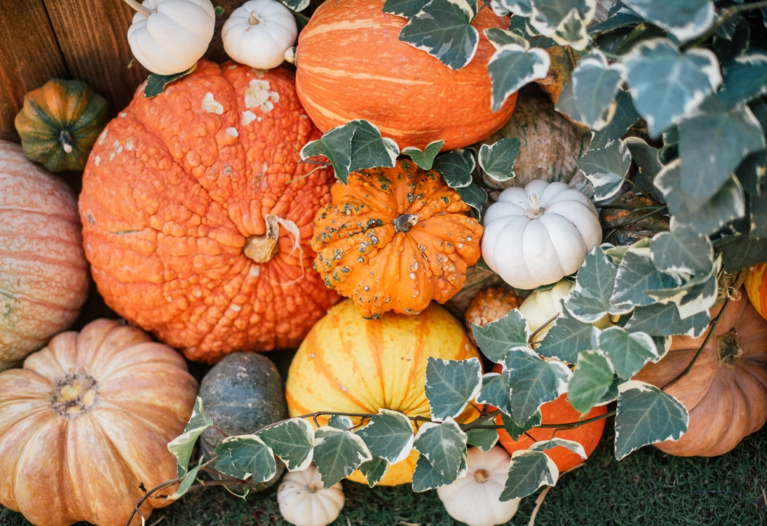 Fall Activities In Boston Today