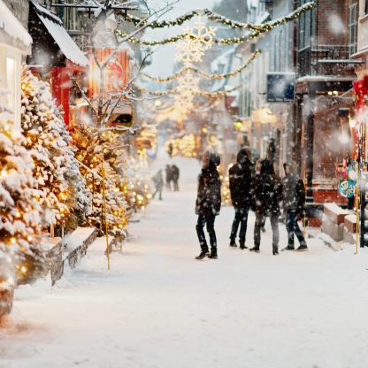 Here are the best holiday lights displays to vist in NYC to celebrate the season.