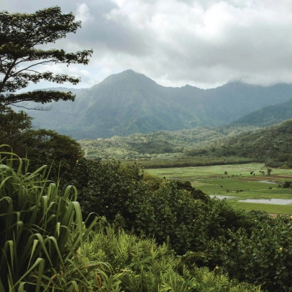 Here's everything you need to know about Kaua‘i in Hawai'i.