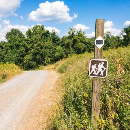 Lace up those hiking boots and check out our recommendations for the best hikes near NYC.