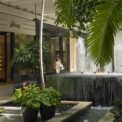 Serene Courtyard with Water Feature