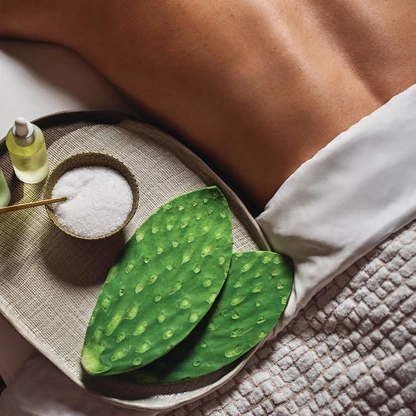 The nopal massage at Four Seasons Scottsdale at Troon North. PHOTO COURTESY OF BRANDS