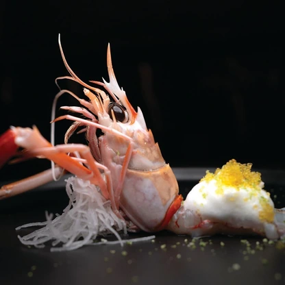 Umami Crudo’s menu blends global flavors and refined Japanese tapas PHOTO BY: GARY LEI