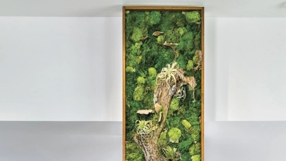 Green building is more than sustainability for one Basalt-based company; it’s the installation of living walls into homes and businesses. In Green Living combines preserved moss and living plants into lush green elements that serve as decorative pieces, replacing wall space that would normally hang art with something equally as beautiful and functional.