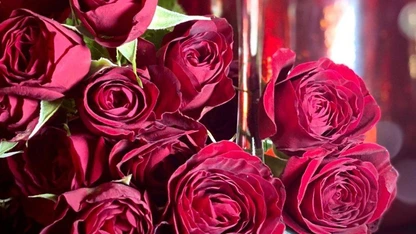 From staycations to fine dining, gifts and more, here's the Miami guide to crushing Valentine's Day in 2021.