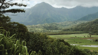 Here's everything you need to know about Kaua‘i in Hawai'i.