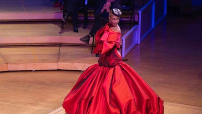 Flamenco dancer in a vibrant red dress performing on stage with seated audience in the background.