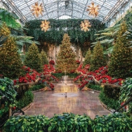 bt_B7KCKGLQ3IBCTGKMGQ0LUL8E54W