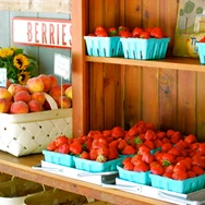 Top Hamptons Farm Stands for Fresh Local Produce