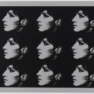 Nine_Silver_Barbras__1997__Deborah_Kass