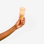 jenis ice cream
