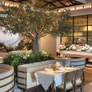 Avra's interior, complete with a view of the fish market flanking the open kitchen PHOTO BY MICHAEL BLANCHARD