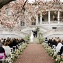 Outdoor wedding ceremony with bride, groom, officiant, guests seated, floral aisle decorations, and blooming tree branches.