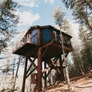 Perched among the pines, Juniper’s treehouses create an elevated escape.