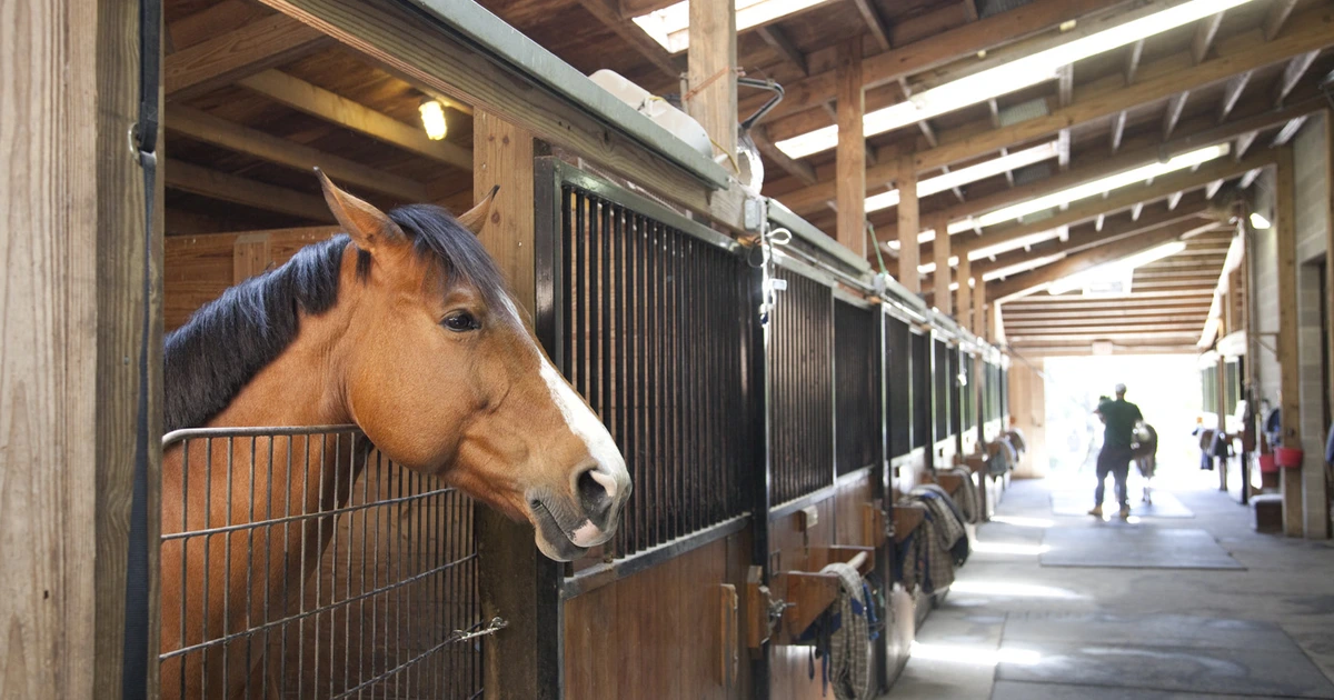 Inside the Hamptons’ Most Coveted Equestrian Addresses