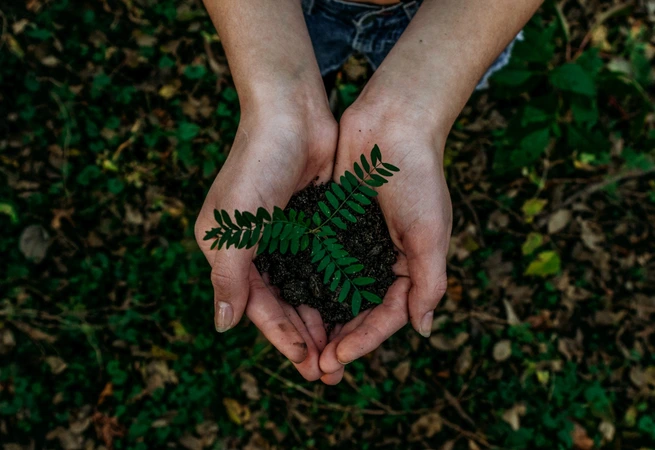 Noah Buscher Unsplash