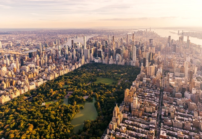 From grilled lamb chops and dry-aged steaks to the best seafood around, we’ve curated a list of the best restaurants near central park.