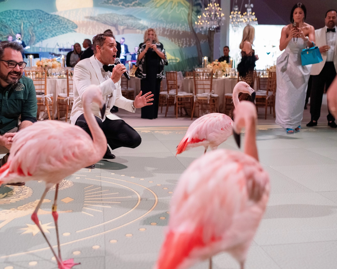 https://media.modernluxury.com/ntgpghfuax/styles/crop-none-12-lg/2024/10/31/DavidStarkDesign_PalmBeachGala_2023_FinchPhoto_%40benfinch-198.jpg.webp?t=ab2df705.webp