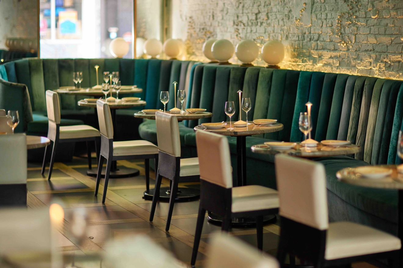 CobaltLantern review photo 3