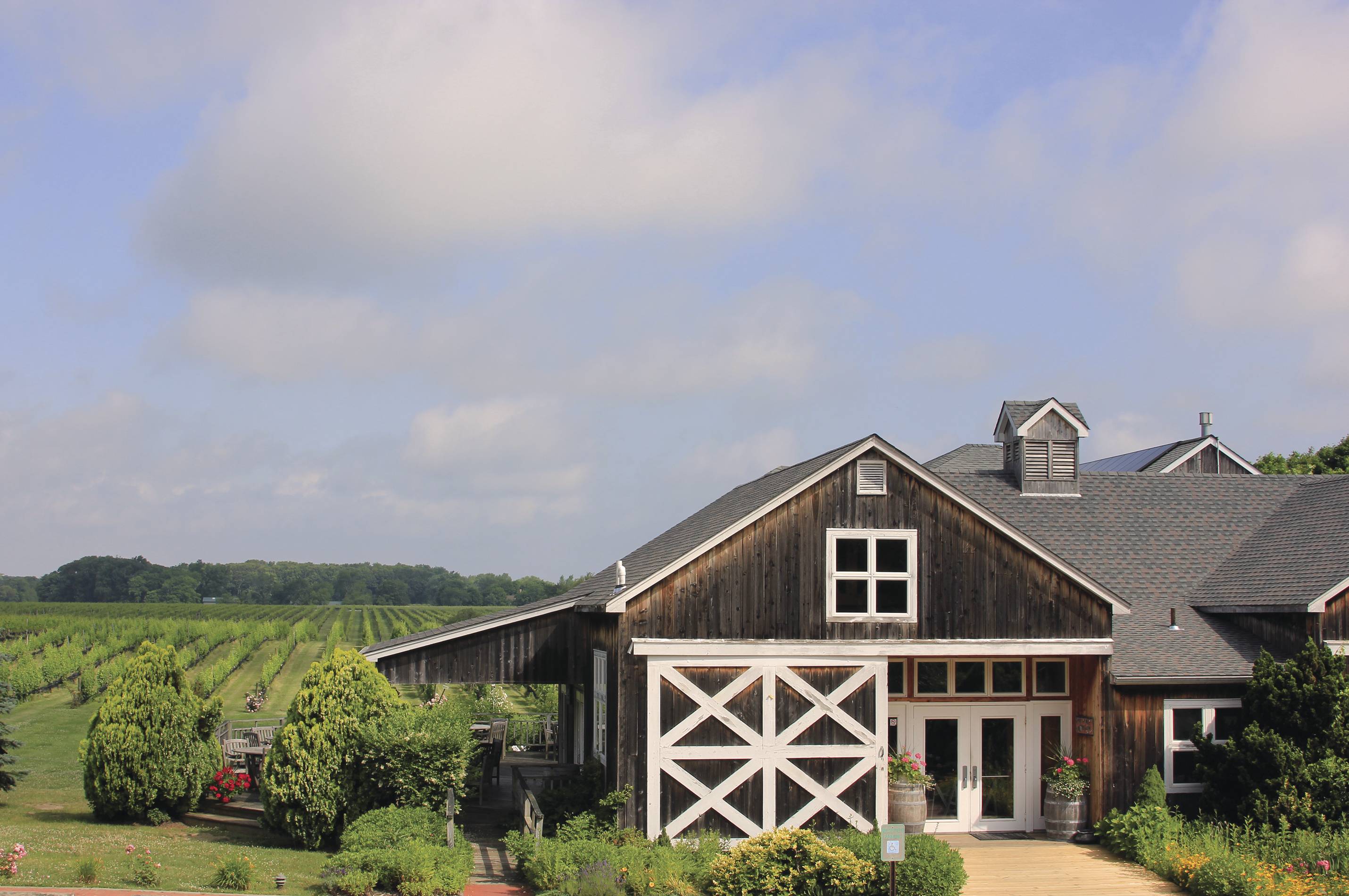 Explore 6 Scenic Long Island Wineries