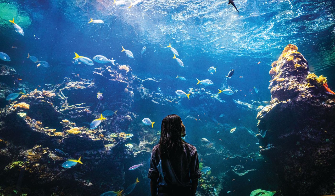 kid-friendly-activities-products-by-sara-olsher