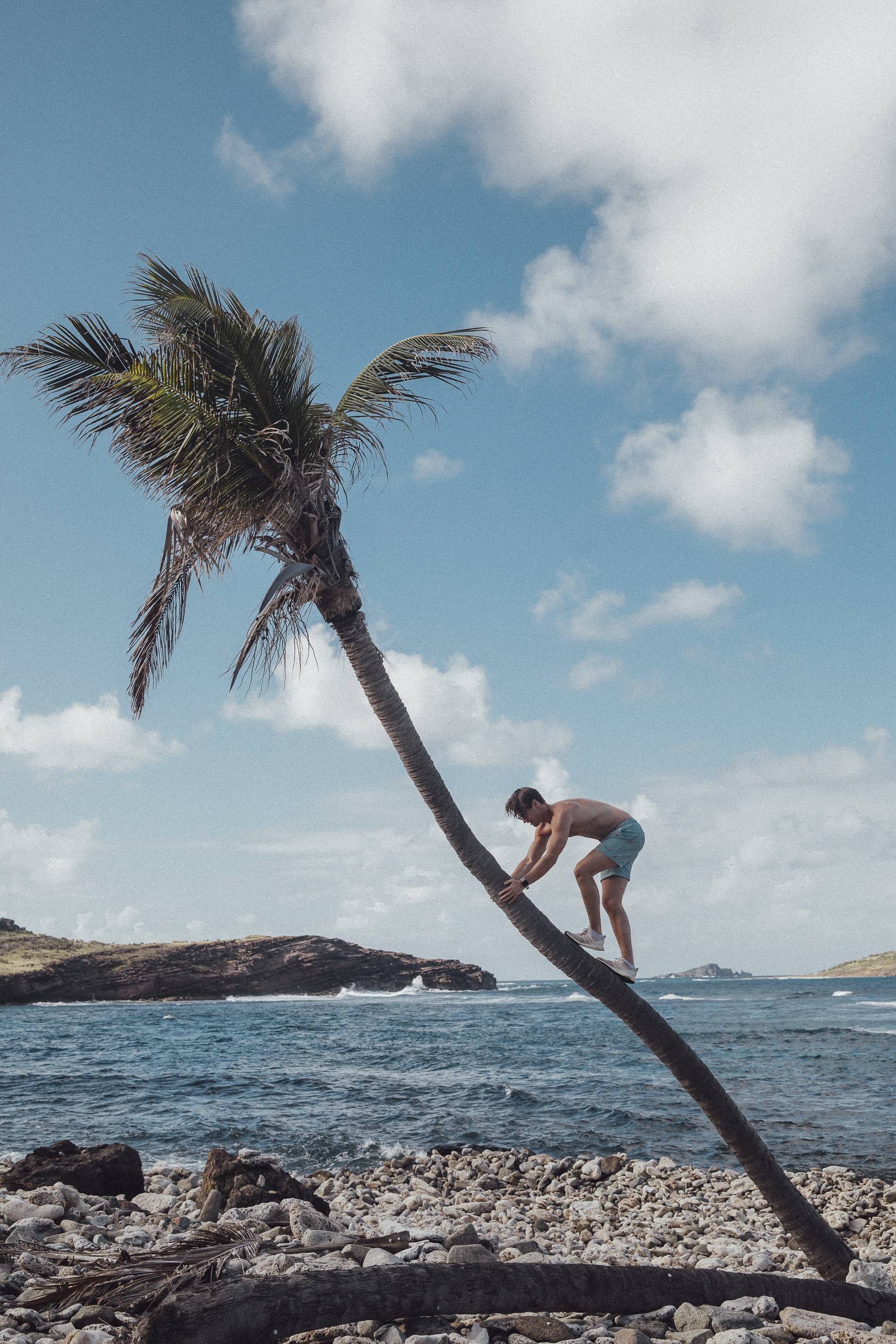 kygo hamp8 high res
