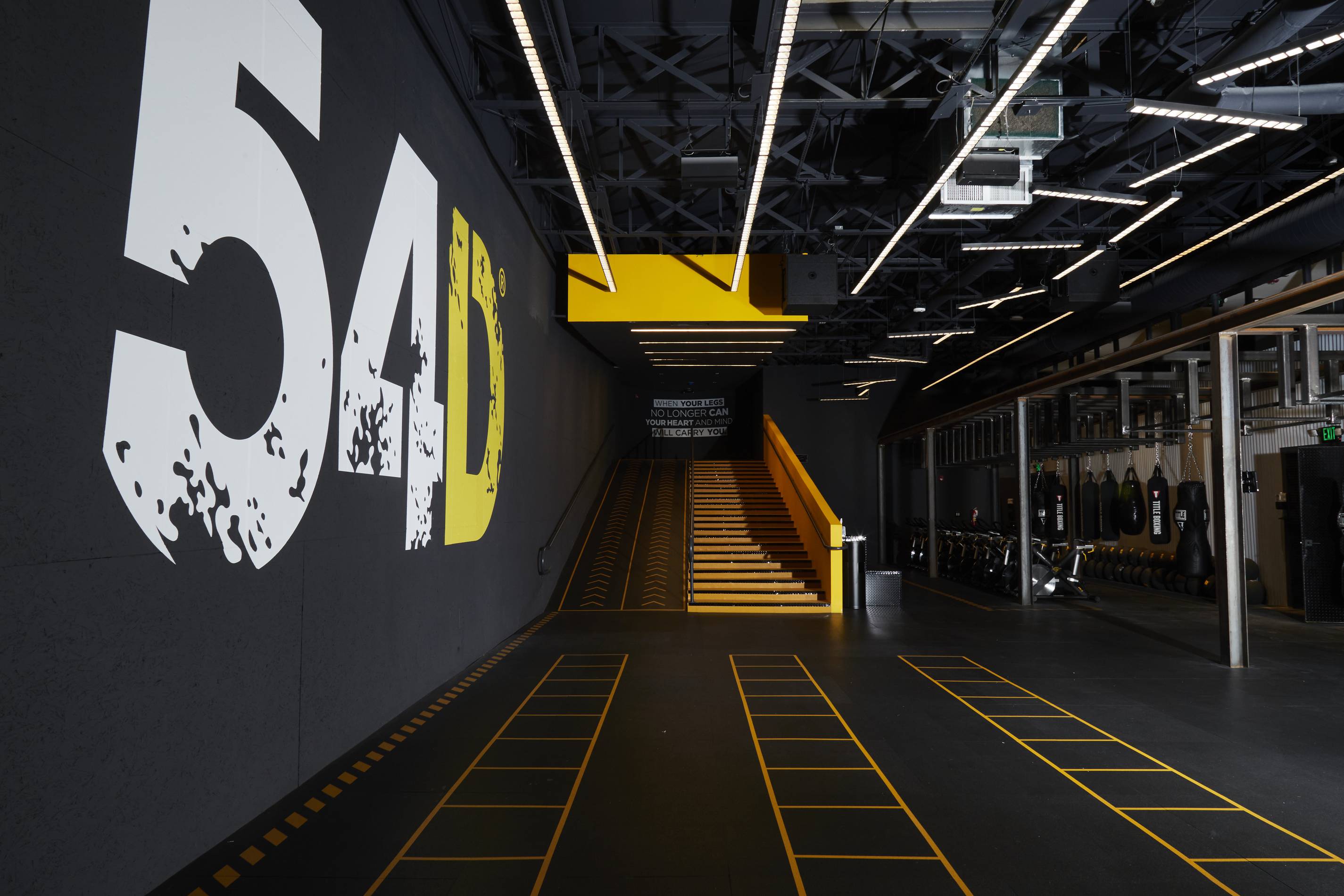 Transform Your Body with 54D: Train Like a Pro