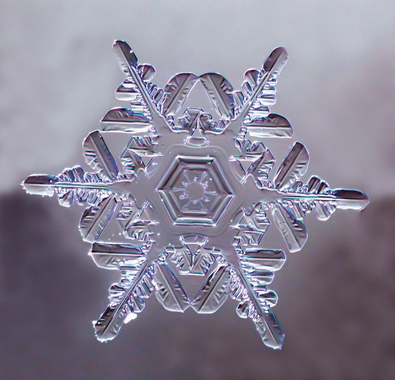 Zooming In on Snowflakes: Capturing Exquisite Patterns