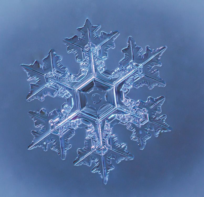 Zooming In on Snowflakes: Capturing Exquisite Patterns
