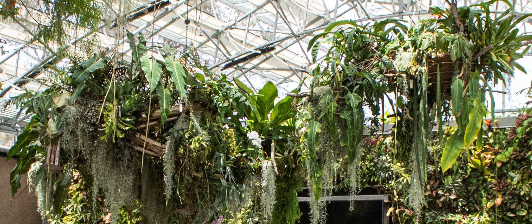 Conservatory_4credit-sandiego-