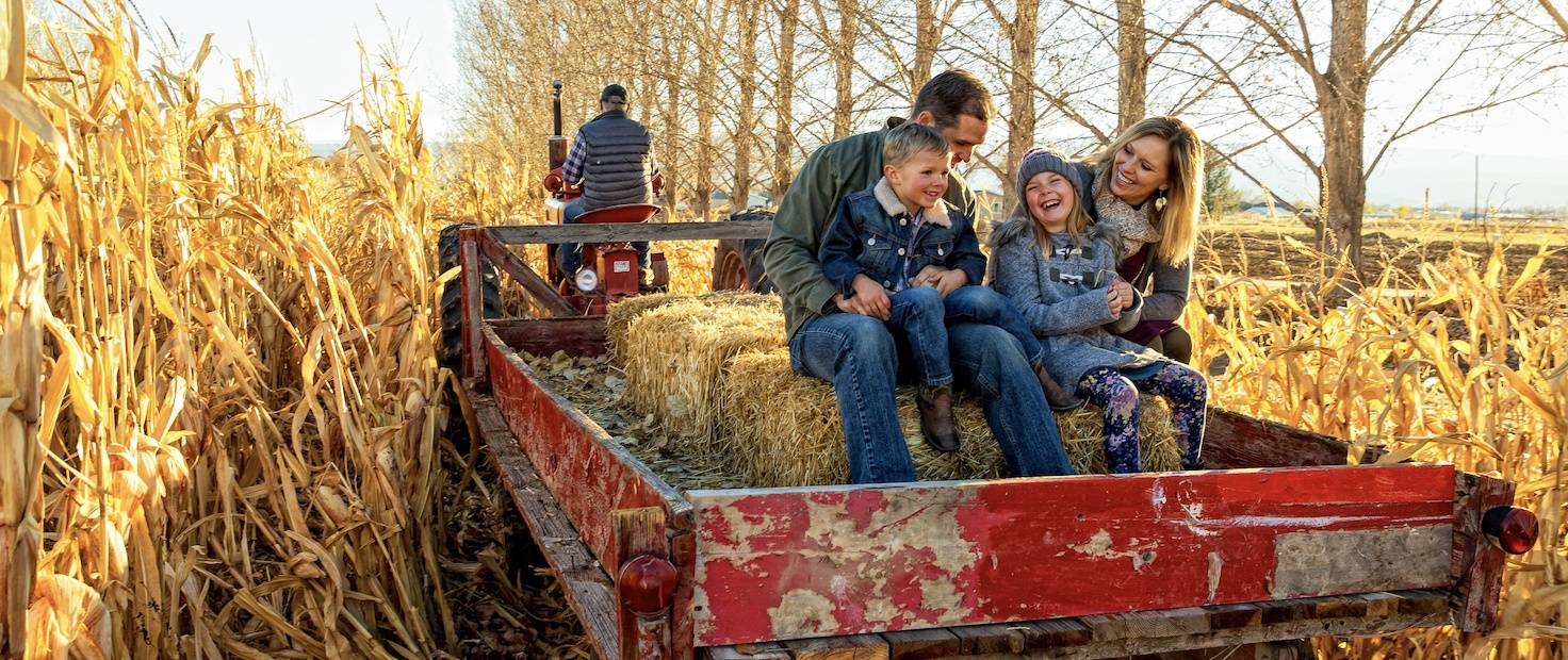Family-Friendly Fall Activities in South Florida