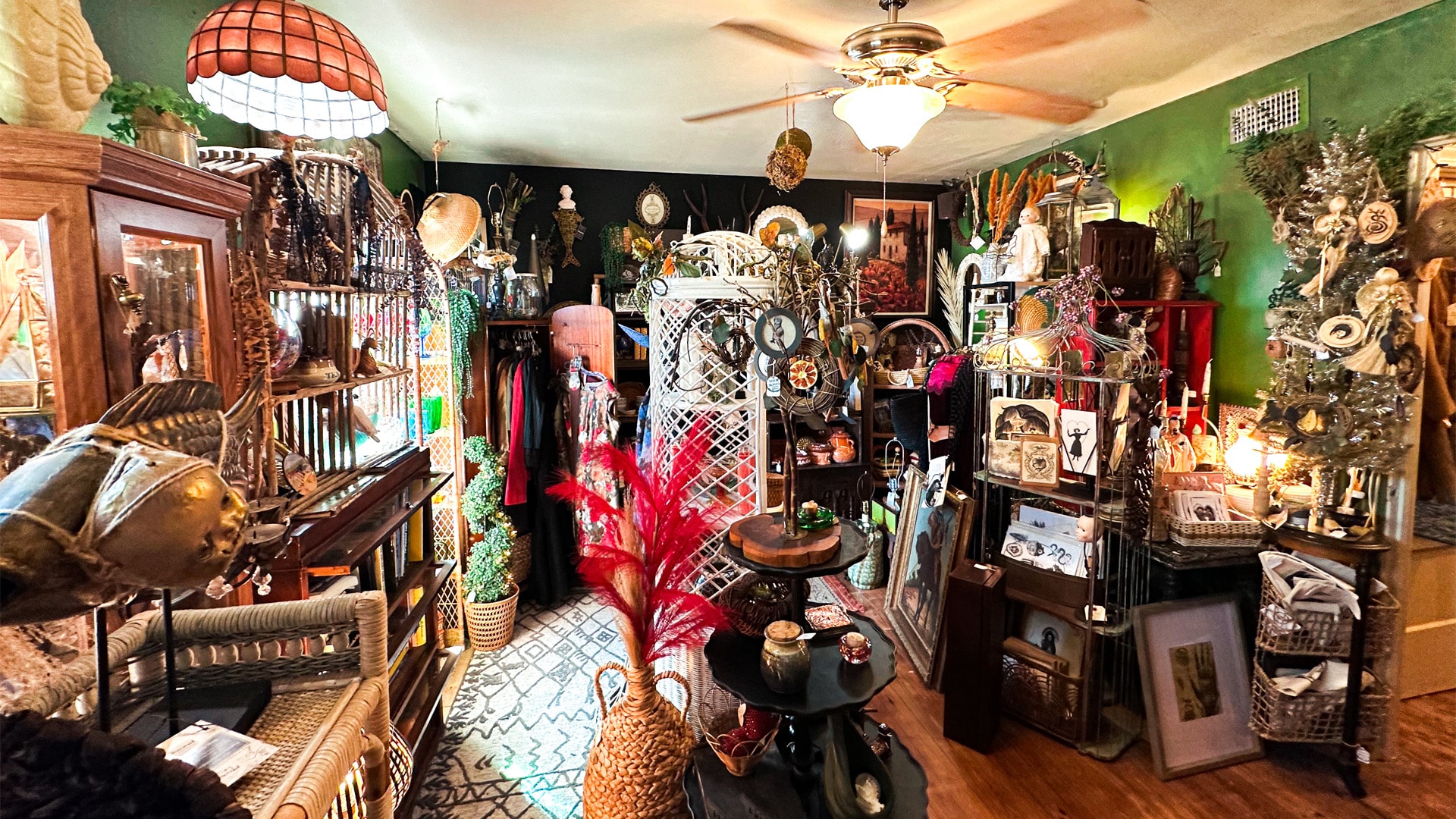 Discover Winter Wonders in Corpus Christi Beach Getaway