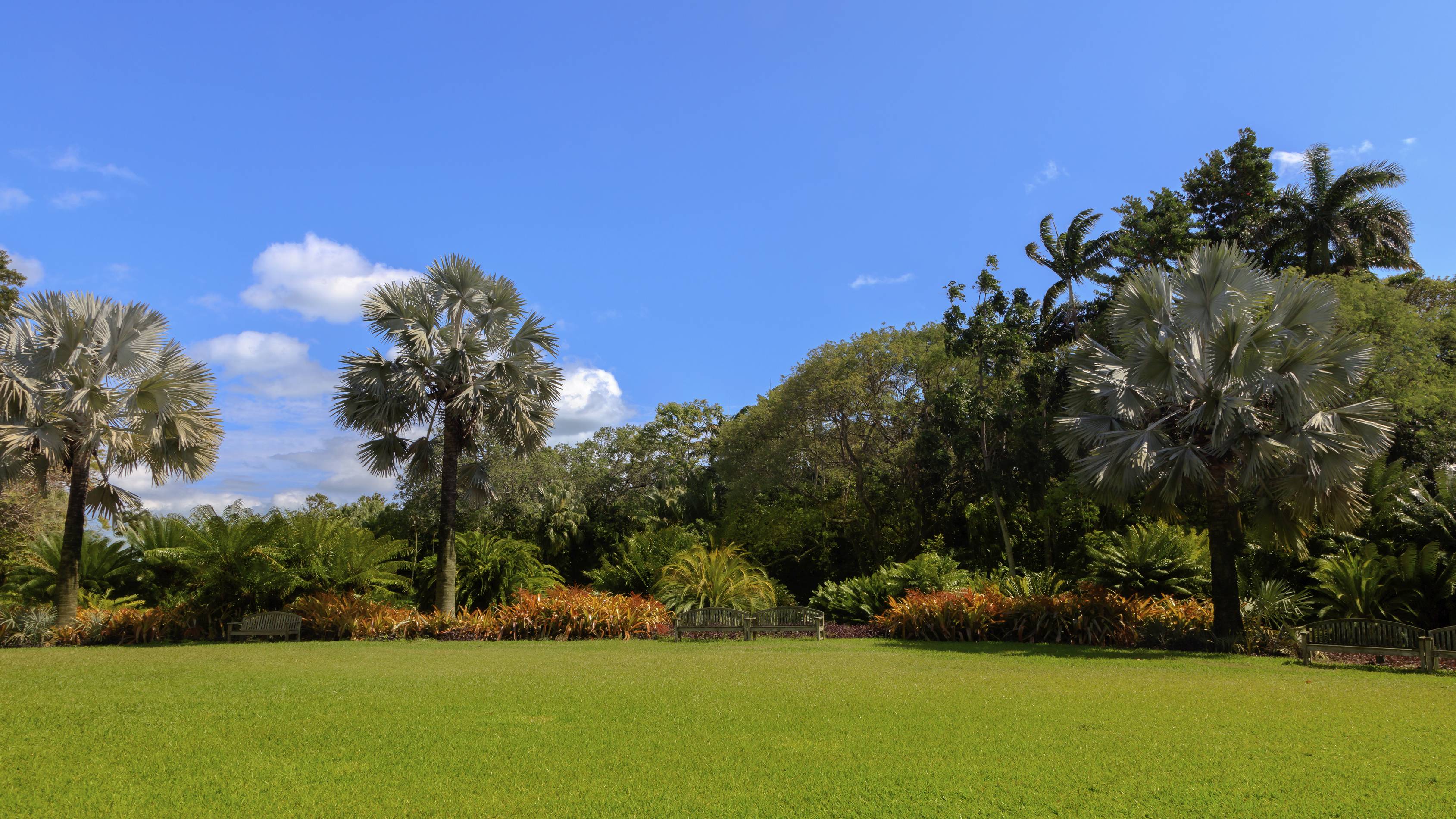 fairchild-tropical-garden-getty-0001.jpg