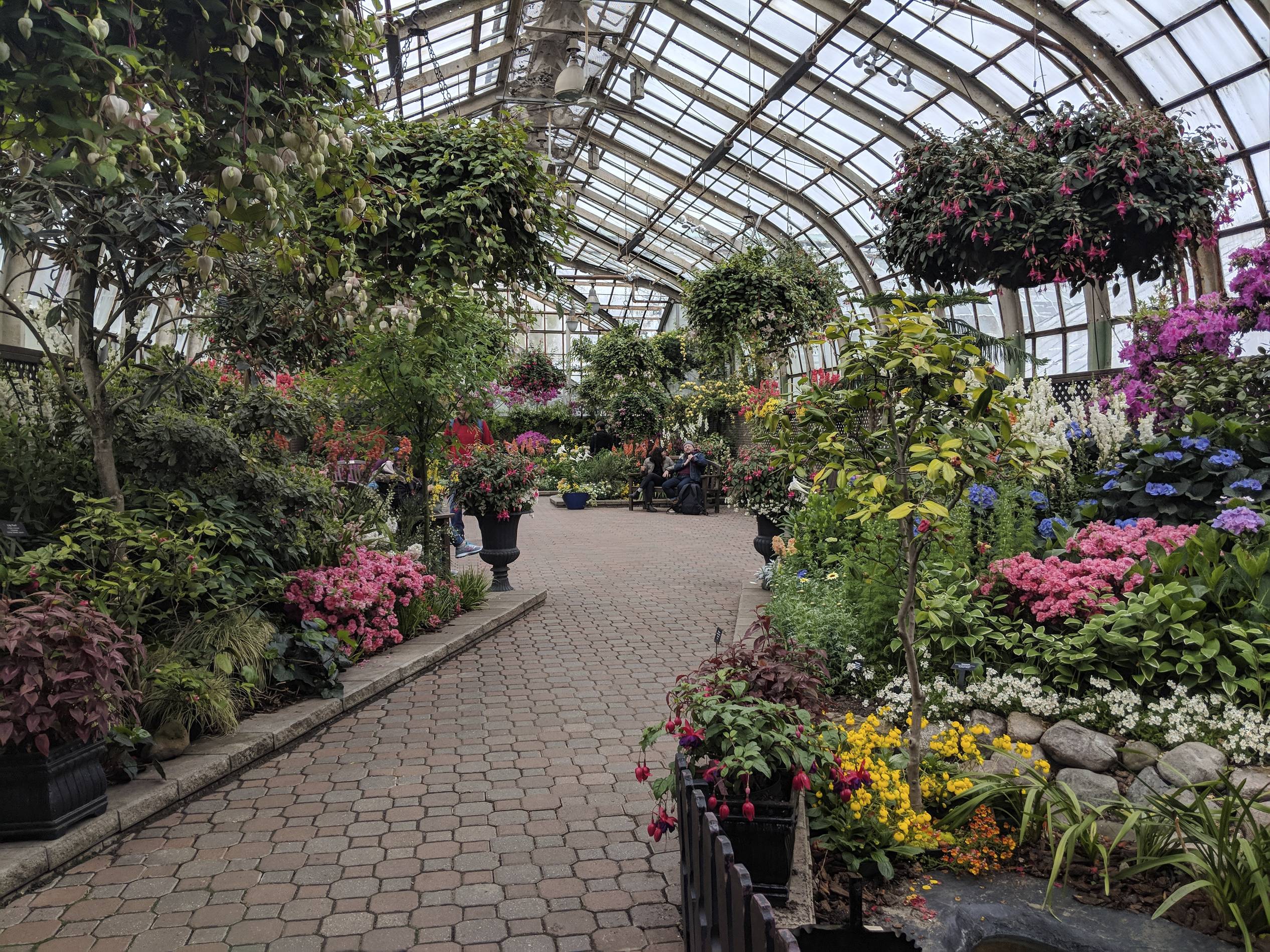 Explore Chicago's Top 7 Stunning Gardens Year-Round