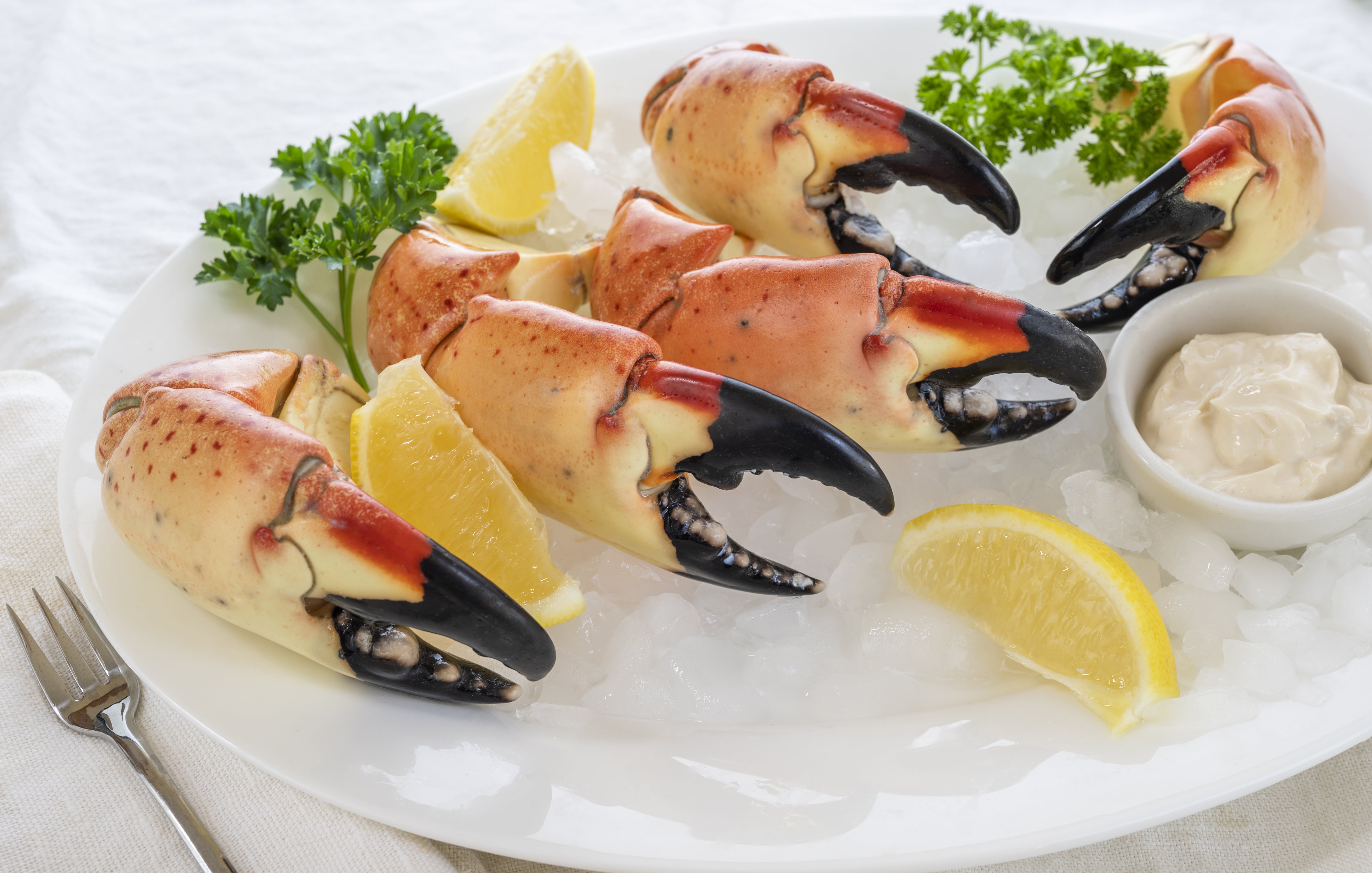 Sink your claws into Miami’s stone crab season starting on Oct. 15 and explore the most quintessential spots to enjoy this local delicacy through May 1.