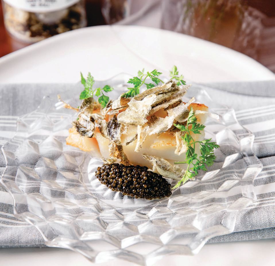 Boston's Fairmont Copley Plaza: A Culinary Paradise for Dogs
