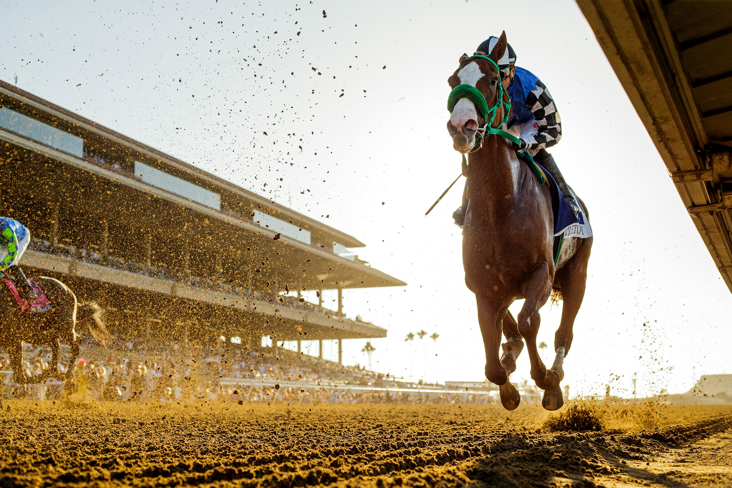 Fall Racing Backgrounds Del Mar Fall Racing: Exciting Events and Stakes