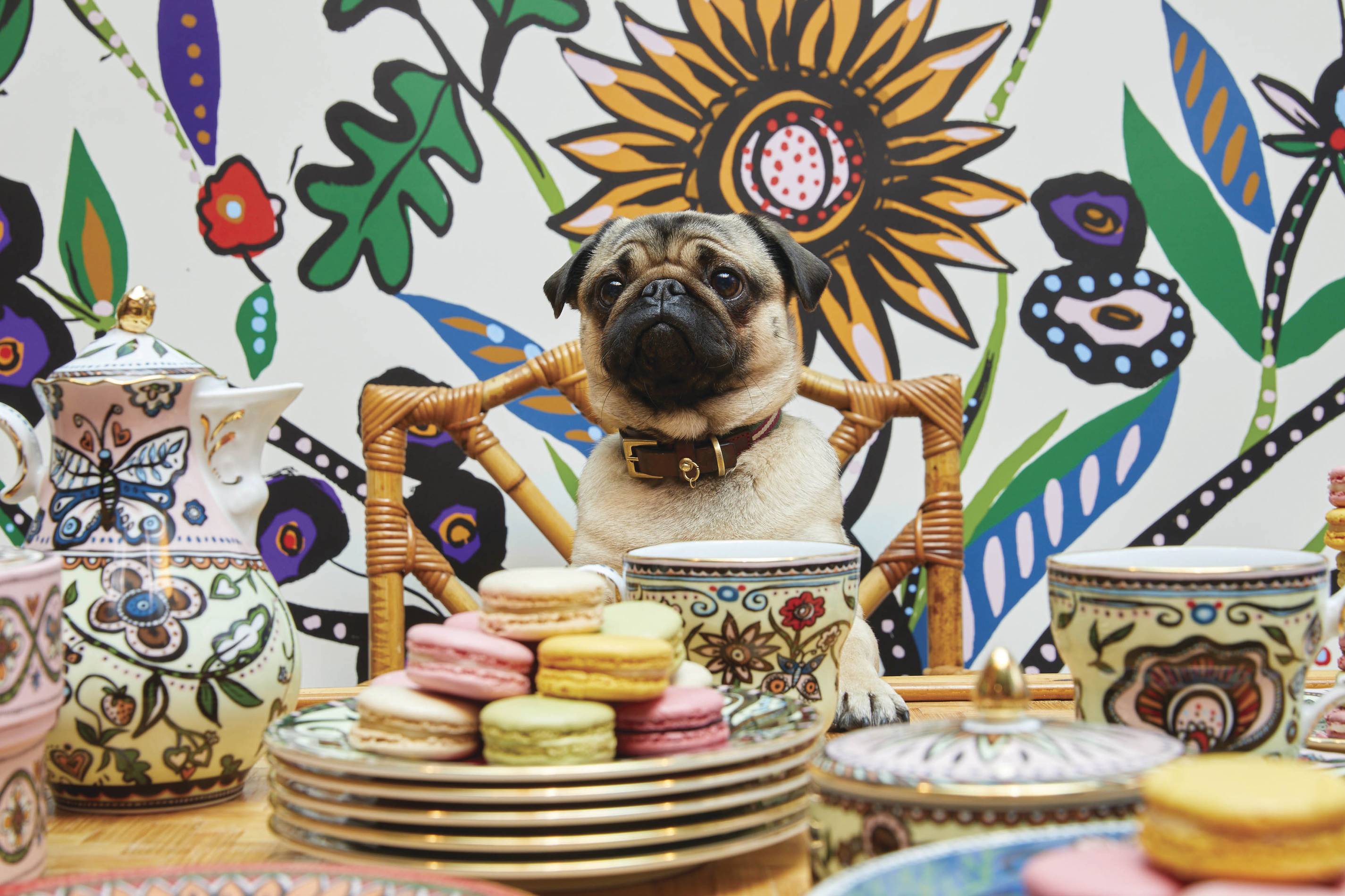 La DoubleJ & Ladurée: Chic Dessert Collection for Mother's Day