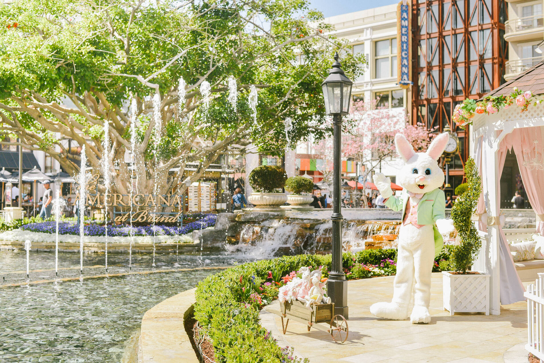 Spring In La Explore Los Angeles Spring: Art, Dining, Nature & Wellness