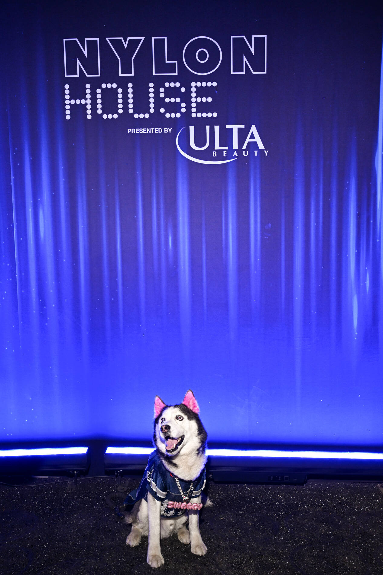 husky