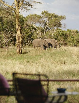 Abercrombie & Kent offers breathtaking safaris across East Africa. PHOTO COURTESY OF BRAND
