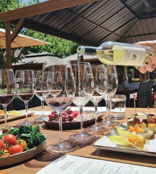 Wine and Wellness: Discover New Vineyard Experiences